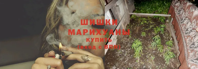 Бошки Шишки SATIVA & INDICA  Изобильный 